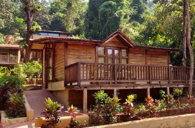 ayurveda-kuur-india